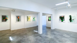 AMS GALERÍA