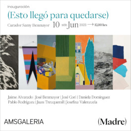 AMS GALERÍA