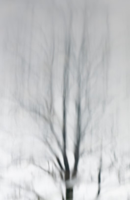 Instantes, 2023 Fotografía 90 x 60 cm